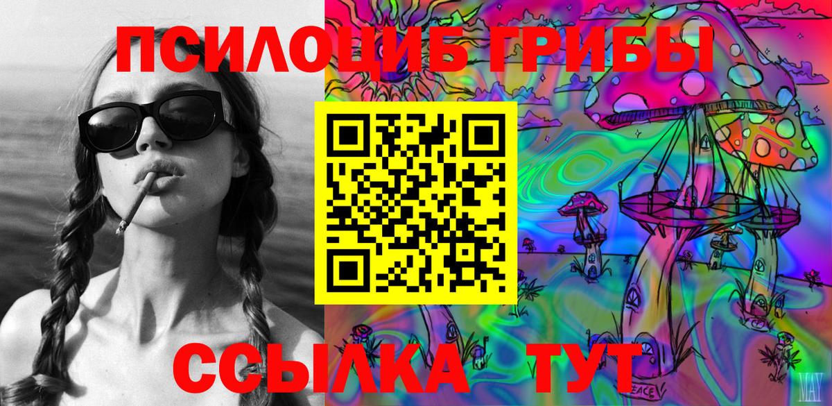 Галлюциногенные грибы Psilocybine cubensis Шали